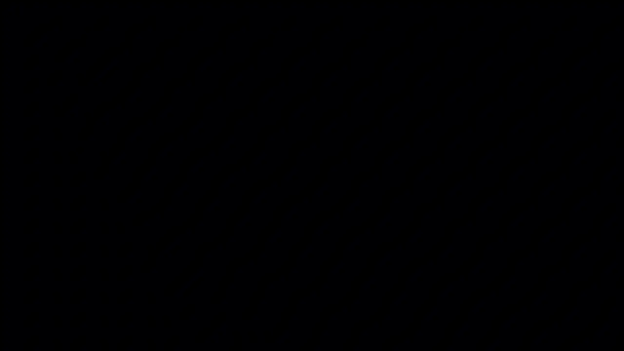 个人简历素材一